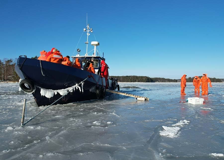 Arctic Helsinki Ice Experience