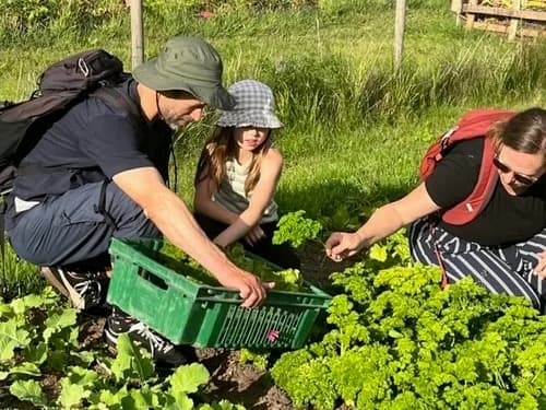Lähiruokaa omalta pellolta – 10 viikon vihannes- ja juureskassit - 3