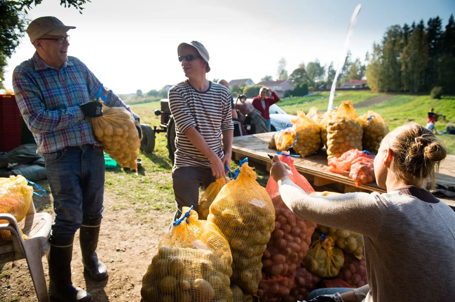 Lähiruokaa omalta pellolta – 10 viikon vihannes- ja juureskassit - 2
