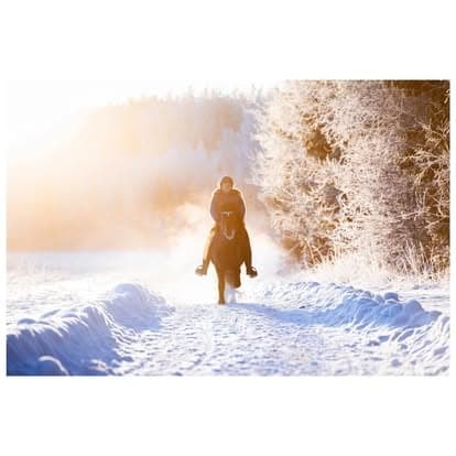 1h Yksityinen ratsastustunti Järvenpäässä - 5