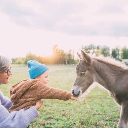 Lasten puuhapäivä hevosten parissa – 5 tuntia - 2
