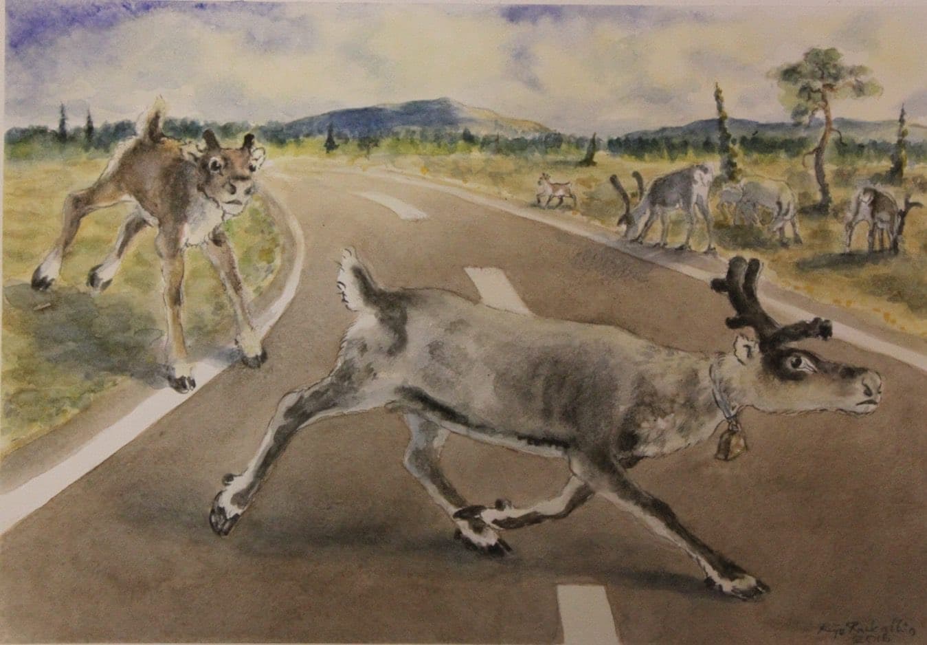 Pöntsön safari moottorikelkalla – 9 henkilölle