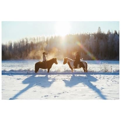 1h Yksityinen ratsastustunti Järvenpäässä - 3