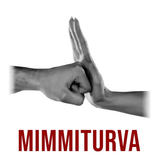 Suomen Turvavalmennus