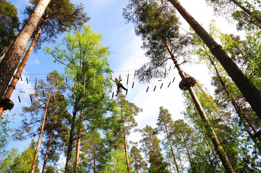 Seikkailupuistoelämys saimaan luonnossa - 4